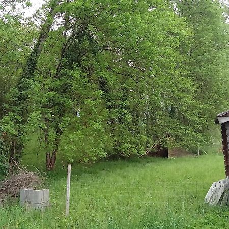 Charmante Yourte Contemporaine Carmaux Kültér fotó